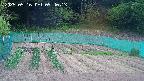 kannonmori-20250516094014.jpg