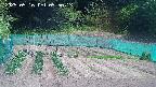 kannonmori-20250516095015.jpg