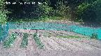 kannonmori-20250516100017.jpg