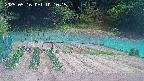 kannonmori-20250516101017.jpg