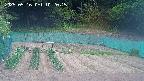 kannonmori-20250516102017.jpg