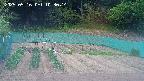 kannonmori-20250516103015.jpg