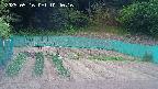 kannonmori-20250516104017.jpg