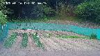 kannonmori-20250516105016.jpg