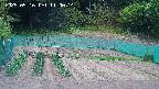kannonmori-20250516110015.jpg