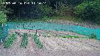 kannonmori-20250516111015.jpg