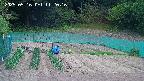 kannonmori-20250516112017.jpg