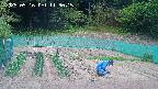 kannonmori-20250516113017.jpg