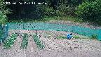 kannonmori-20250516115017.jpg
