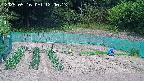 kannonmori-20250516120014.jpg