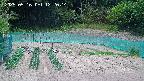 kannonmori-20250516122015.jpg
