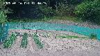 kannonmori-20250516123017.jpg