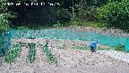 kannonmori-20250516131016.jpg