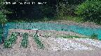 kannonmori-20250516133015.jpg