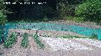 kannonmori-20250516135017.jpg