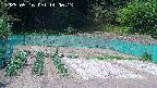 kannonmori-20250516140015.jpg