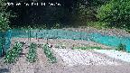 kannonmori-20250516141018.jpg