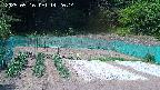 kannonmori-20250516142015.jpg