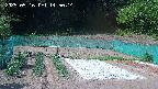 kannonmori-20250516145015.jpg