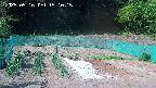 kannonmori-20250516151016.jpg