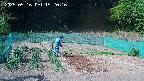 kannonmori-20250516152017.jpg
