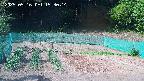 kannonmori-20250516153015.jpg