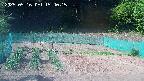kannonmori-20250516154016.jpg