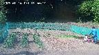 kannonmori-20250516155016.jpg