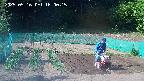 kannonmori-20250516160017.jpg