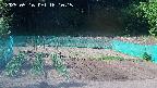 kannonmori-20250516161016.jpg
