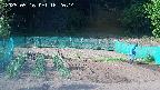 kannonmori-20250516162016.jpg