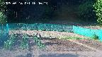 kannonmori-20250516164014.jpg
