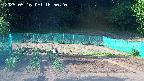 kannonmori-20250516165021.jpg