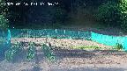 kannonmori-20250516170015.jpg