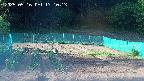 kannonmori-20250516171014.jpg