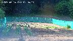 kannonmori-20250516172015.jpg