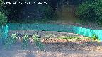 kannonmori-20250516173015.jpg