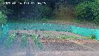 kannonmori-20250516174016.jpg