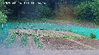 kannonmori-20250516182017.jpg