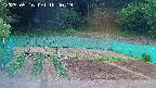kannonmori-20250516184020.jpg
