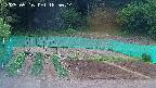 kannonmori-20250516185016.jpg