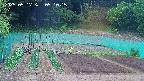 kannonmori-20250517051016.jpg