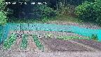kannonmori-20250517063016.jpg