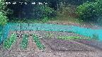 kannonmori-20250517084017.jpg