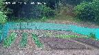kannonmori-20250517094018.jpg