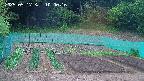 kannonmori-20250517100018.jpg