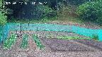 kannonmori-20250517102015.jpg