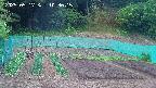 kannonmori-20250517103017.jpg