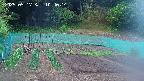 kannonmori-20250517104016.jpg
