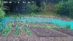kannonmori-20250517112017.jpg